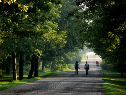 Arboretum view